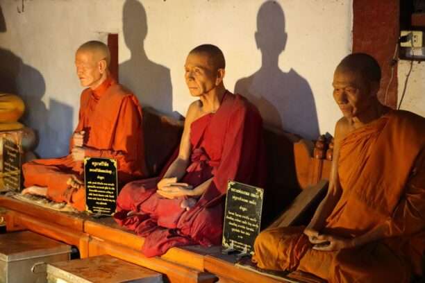 622805065_1432795878639772_7761657704559961433_n