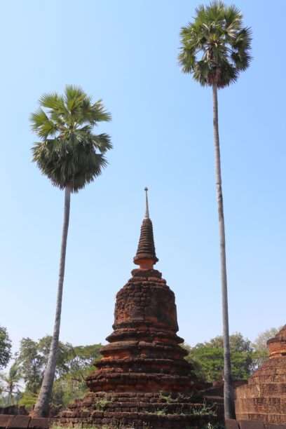 623312732_1430887365497290_4789680425356913294_n