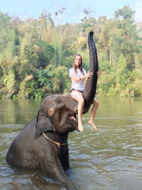 WhatsApp Image 2026-01-27 at 06.44.25 (2)