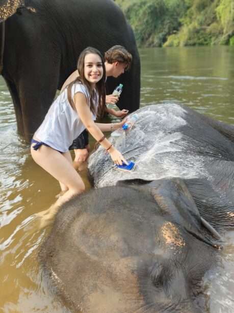 WhatsApp Image 2026-01-27 at 06.44.29 (1)