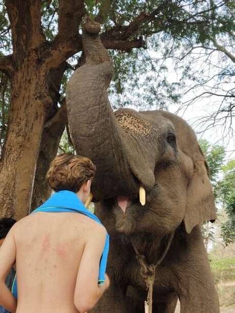 WhatsApp Image 2026-01-27 at 06.44.35 (1)