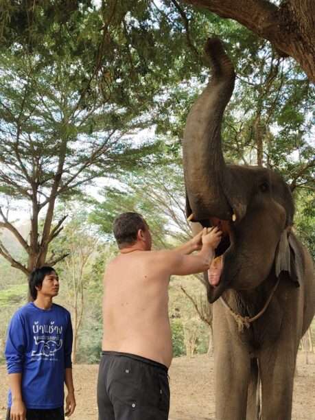 WhatsApp Image 2026-01-27 at 06.44.36