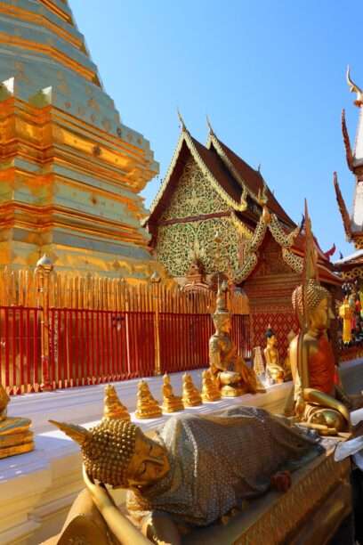 624600727_1434099971842696_3133279852031334498_n