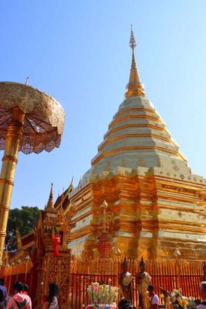 625182946_1434099065176120_2751260042098669226_n