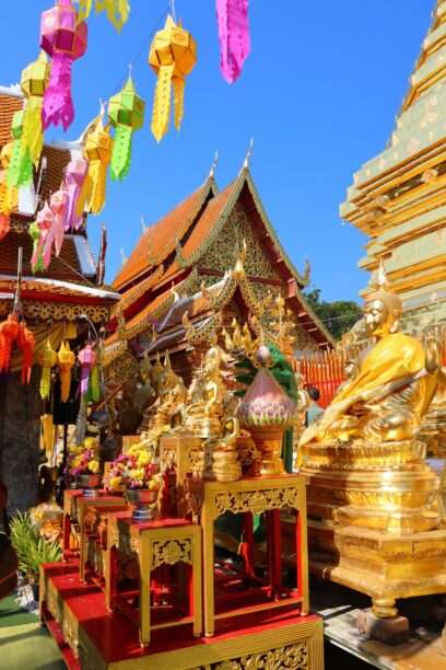 625296545_1434100285175998_2582504659130073236_n