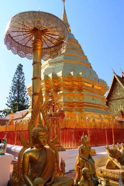 626007648_1434100025176024_5215076616100678808_n