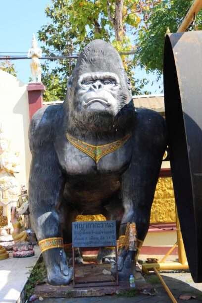 626718745_1435782095007817_5950639055537824167_n