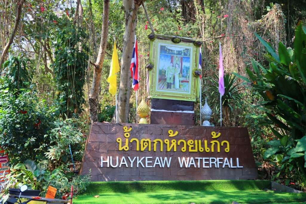 Sous la peau de Doi Suthep : les eaux vivantes de Huay Kaew -Chiang Mai Thaïlande