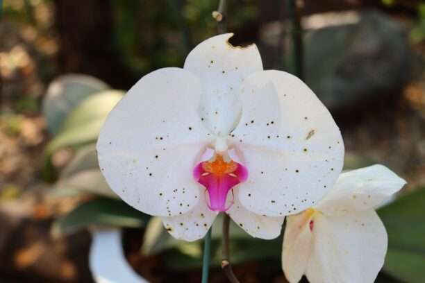 626888195_1437683331484360_2063794521405635725_n