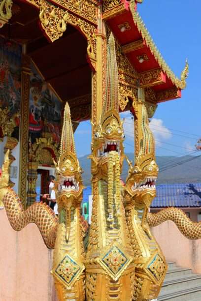 627498189_1435780311674662_3524480846573288977_n