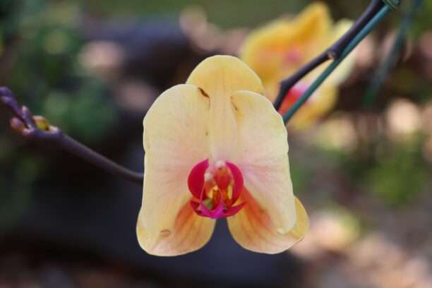 628165967_1437683341484359_7324918065222124234_n