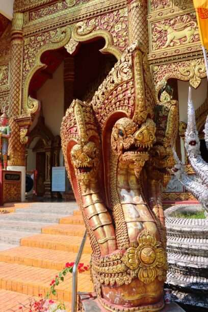 628205647_1438799141372779_1957374353830566952_n