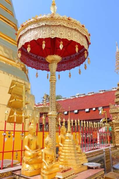 629006893_1441352517784108_6694057239282532205_n