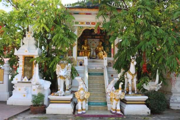 629228587_1437830351469658_8096280688295736908_n