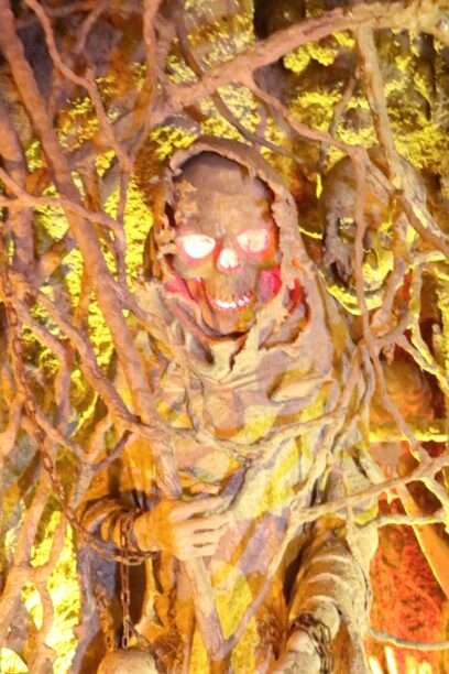 629475329_1439479311304762_3322064747306390140_n