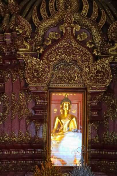 629679695_1437792398140120_3745967369417524034_n