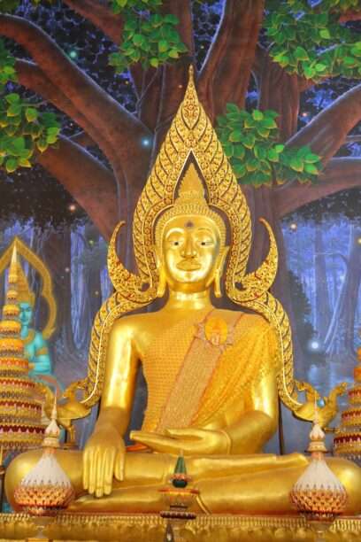 630172448_1441352317784128_8551203427937303903_n