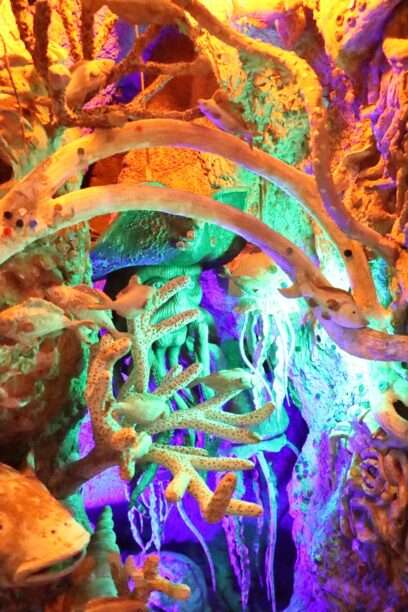 630864484_1439479367971423_6161211446504418253_n