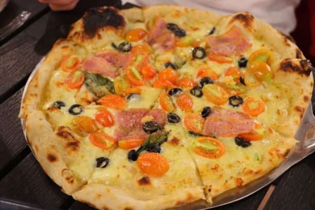 631276123_1441937484392278_6242673927249410127_n