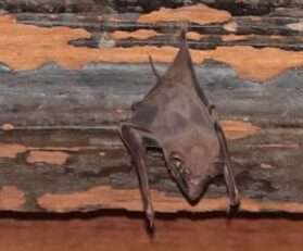 633067336_1445637757267212_3857670168481653589_n