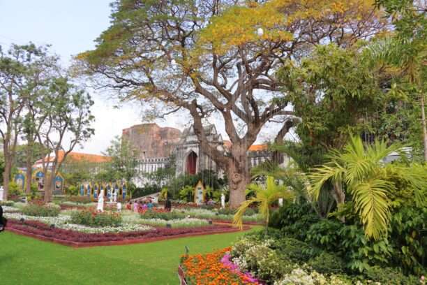 633409862_1443687087550651_7953159969959153211_n