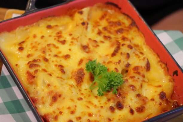 633867402_1446415750611118_7469140725788557362_n