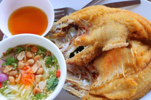 633985810_1443905534195473_8297594783848928467_n