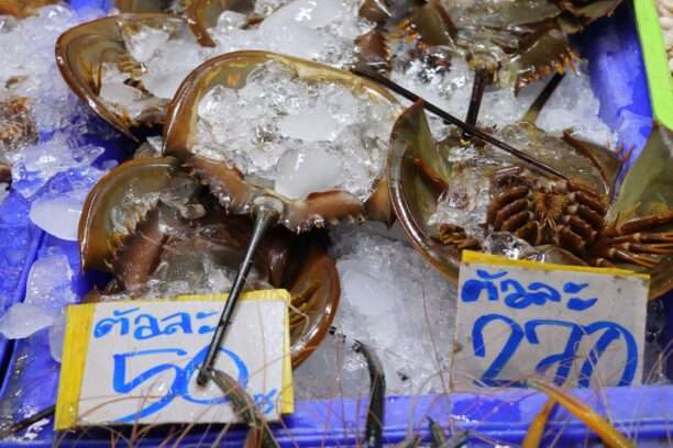 634702007_1447297360522957_5634988192302435855_n