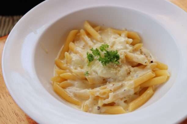 634772050_1447252683860758_8267478929803842424_n