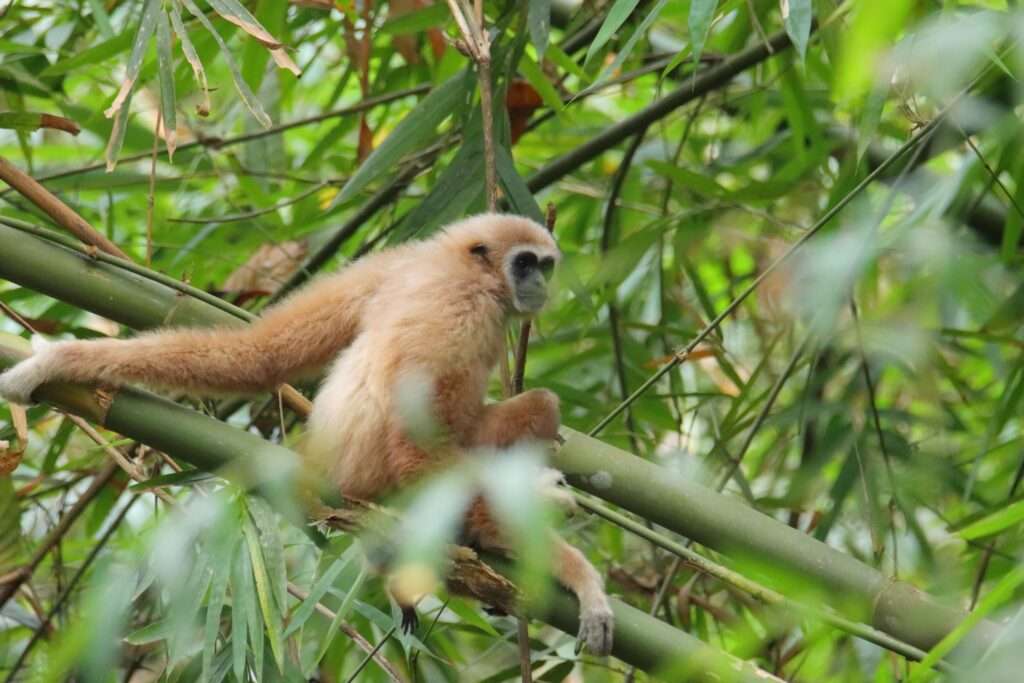 635220216_1448193943766632_8827411300655572698_n