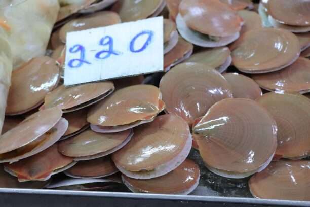 635542281_1447297473856279_308728878946345250_n