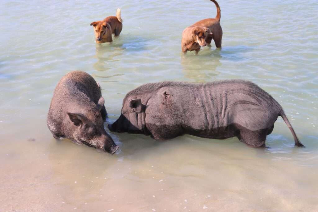 639099427_1451761783409848_6207507668763756941_n