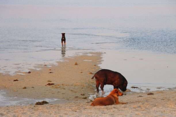 639918740_1451760470076646_6238820451134642939_n