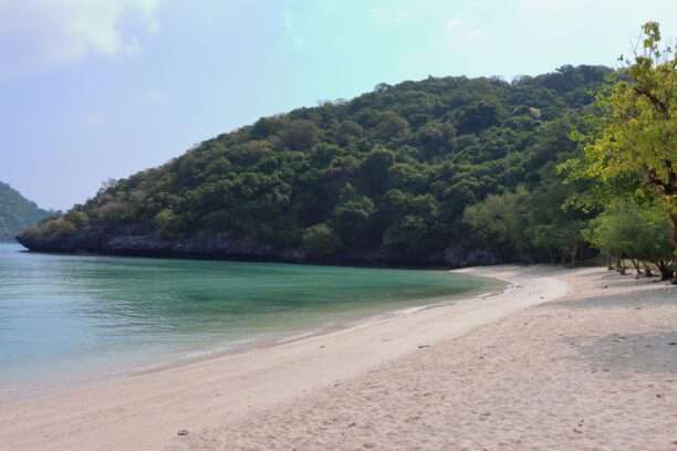 641220642_1452549409997752_2997060454359306677_n