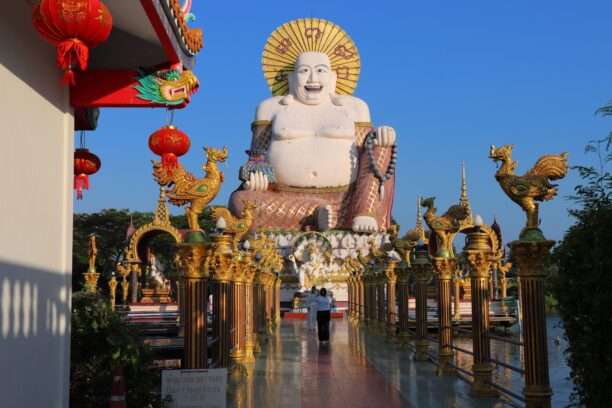 641228677_1453341939918499_3388926165513905068_n