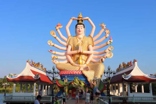 641300857_1453342503251776_2727527251726403789_n