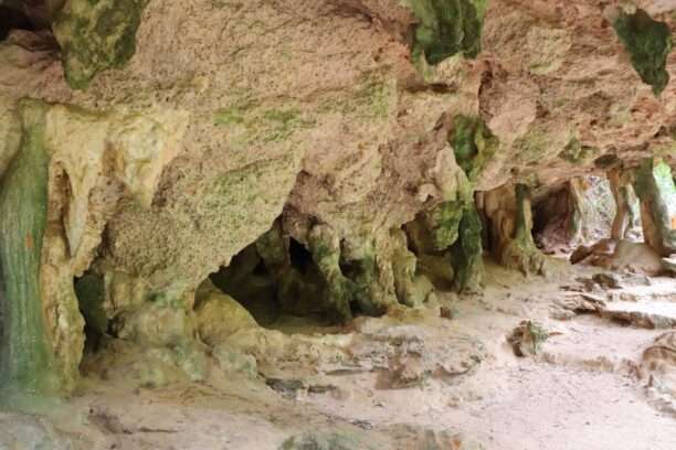 643365527_1456843839568309_7856230672511801554_n