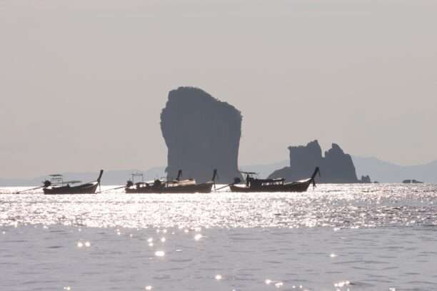 643799942_1457136376205722_284014843960901106_n