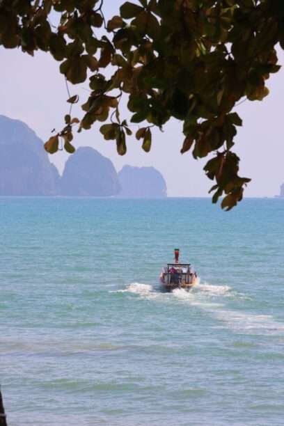 644291232_1455961579656535_629641175398584270_n