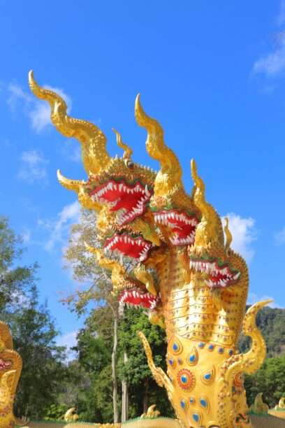 643750196_1457506832835343_3916254861911049840_n