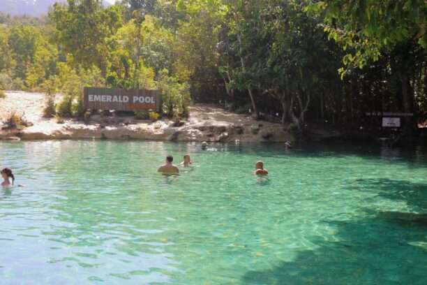 644241415_1459031602682866_4130665770333357308_n