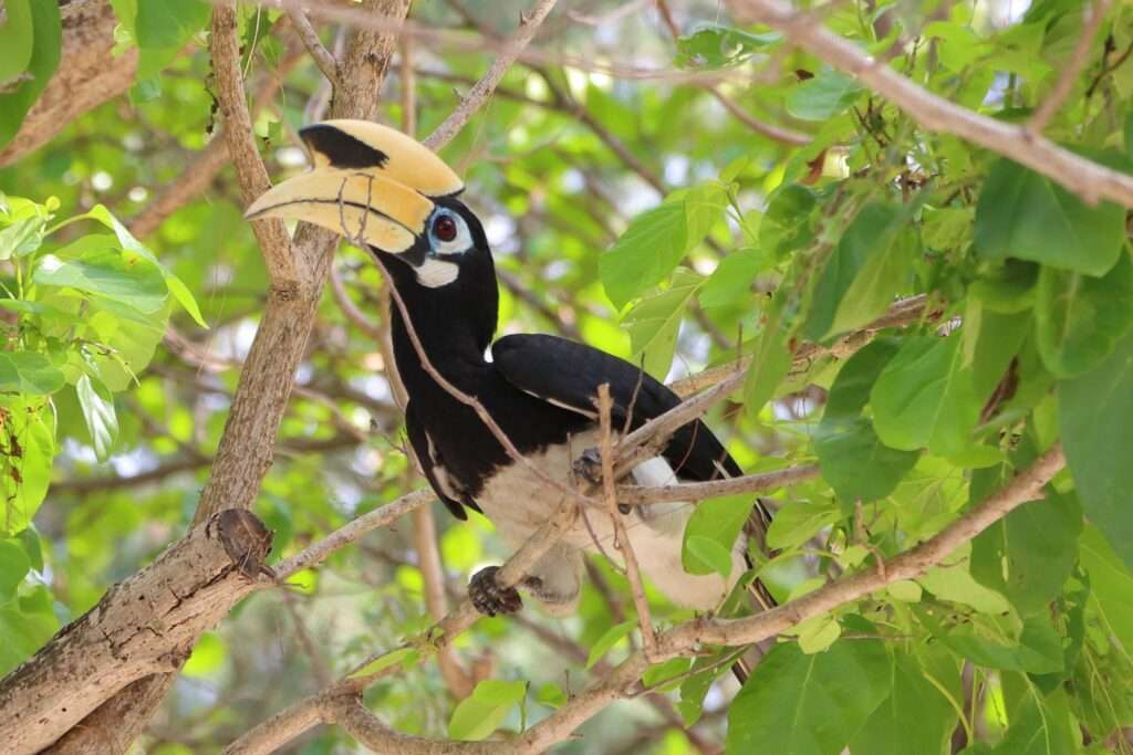 644242766_1458262512671403_1863317267027270458_n