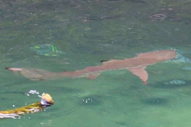 645464512_1461786862407340_1451031388324994743_n