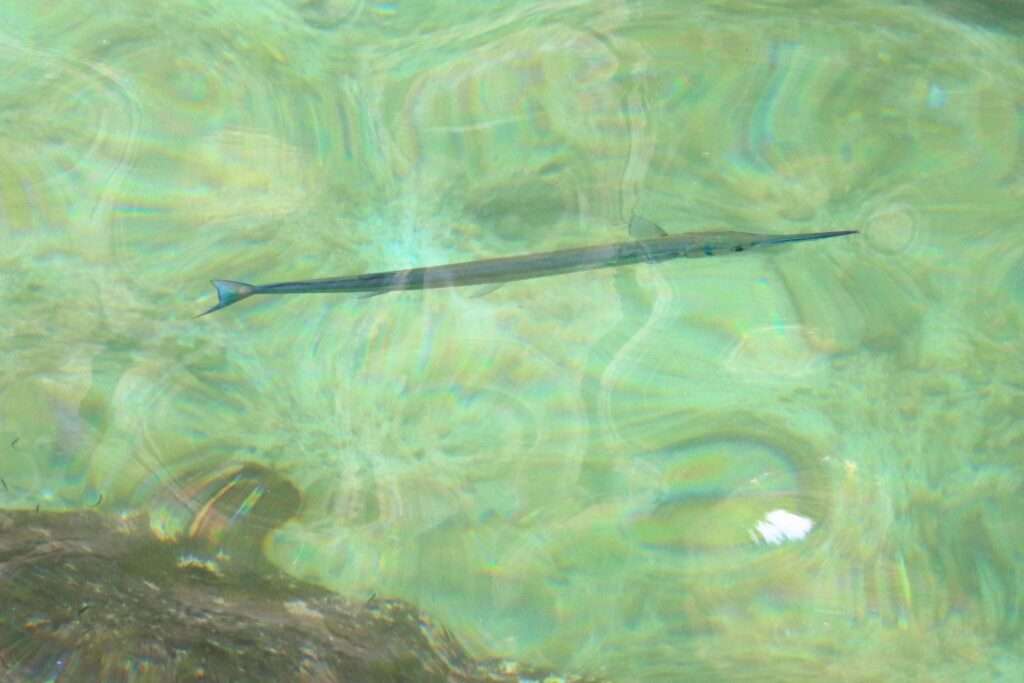 645479701_1461787085740651_3344977850411019671_n