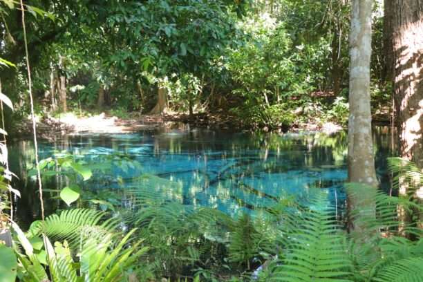 646401813_1459032402682786_5896371487290607292_n