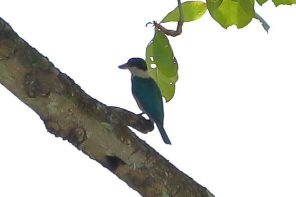 647511424_1461566402341014_5722509067166178285_n