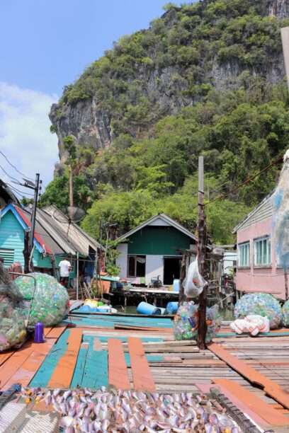 648425956_1460721859180507_2033832203855097396_n