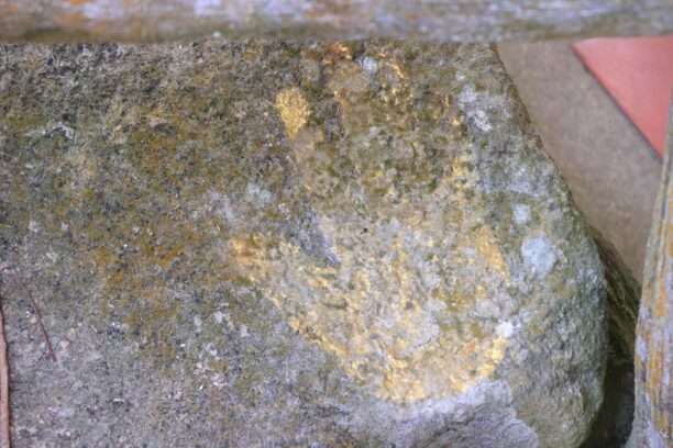 648492234_1462822265637133_1609511316257111450_n