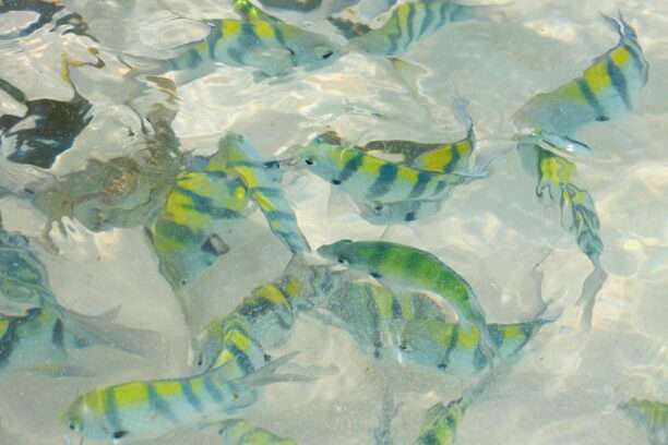 648529480_1461764142409612_798602622918283810_n