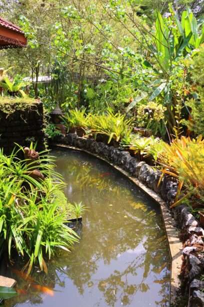 648684893_1464809205438439_4439527795329025640_n